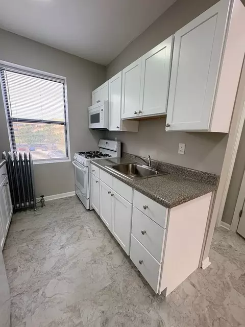 238 N Pine Ave, Chicago, IL 60644 photo 8