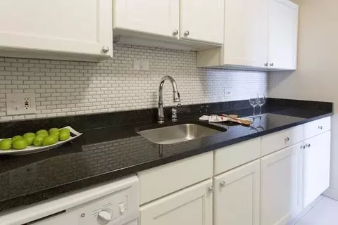 1642 E 56th St, Chicago, IL 60637