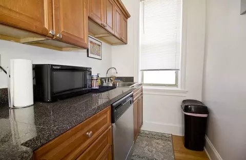 1101 W Grace St, Chicago, IL 60613 photo 7