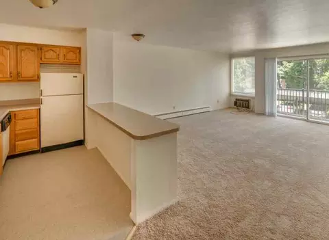 515 S Chestnut St, Lansing, MI 48933