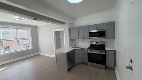1428 W Chicago Ave, Chicago, IL 60642