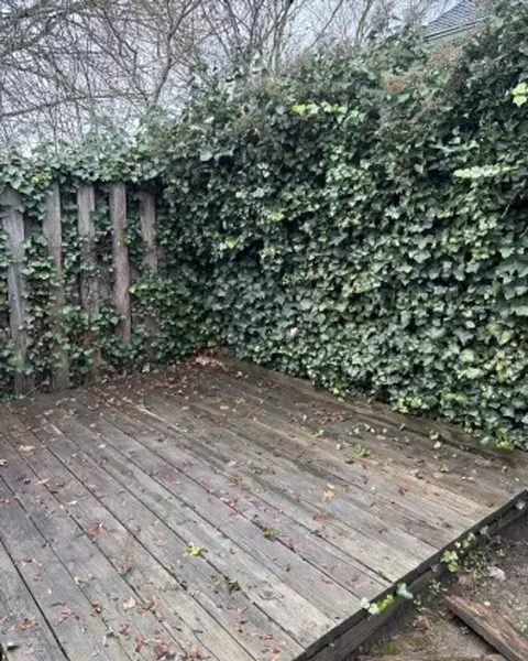 3880 Auburn Rd NE, Salem, OR 97301 photo 17