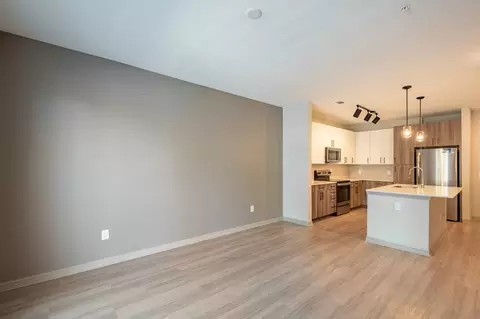 6307 N Nebraska Ave, Tampa, FL 33604 photo 45
