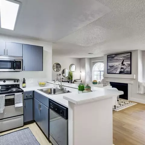 4905 Courtside Dr, Irving, TX 75038 photo 2
