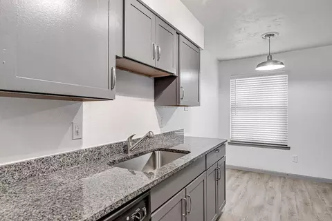 4905 Courtside Dr, Irving, TX 75038 photo 53