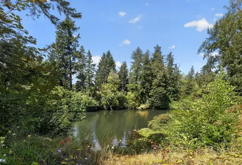 17865 SW Pacific Hwy, Tualatin, OR 97062 photo 22