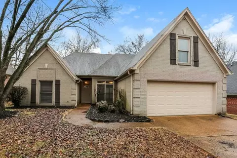 8633 Meadow Green Dr, Cordova, TN 38016