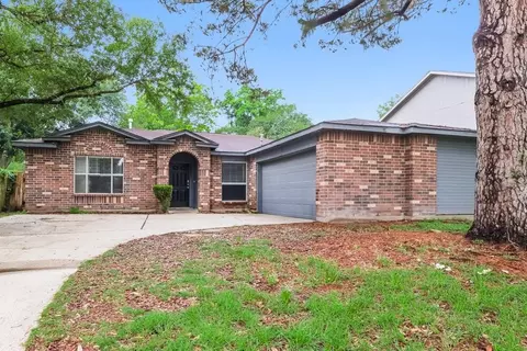 28807 Binefield St, Spring, TX 77386