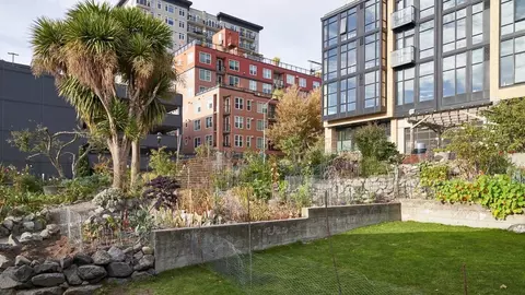 2515 4th Ave, Seattle, WA 98121 photo 35