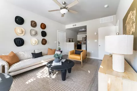 1350 Sadler Dr, San Marcos, TX 78666 photo 89
