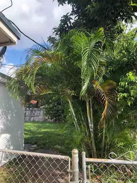 1001 NE 212th Ter, Miami, FL 33179