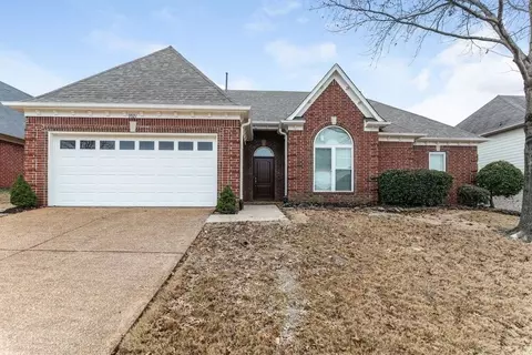 9921 Greenalder Cv N, Cordova, TN 38016