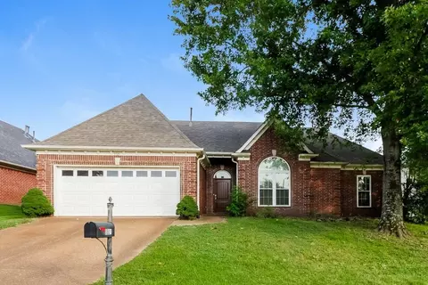 9921 Greenalder Cv N, Cordova, TN 38016