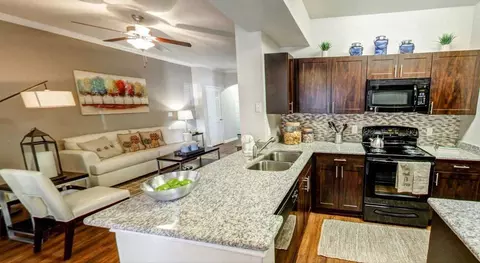 8225 N Fm 620 Rd, Austin, TX 78726 photo 12
