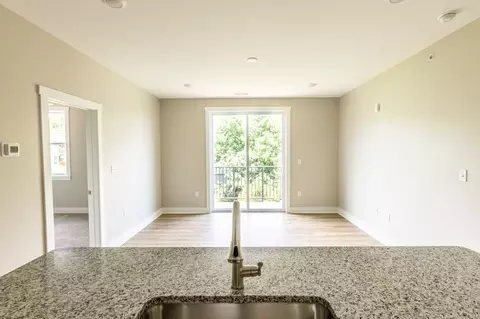1201 Druid Ave, Charlottesville, VA 22902 photo 6