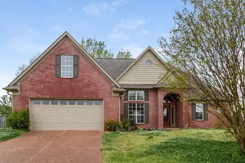 6241 Oxbourne Cv, Olive Branch, MS 38654
