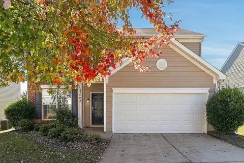 11523 Erwin Ridge Ave, Charlotte, NC 28213