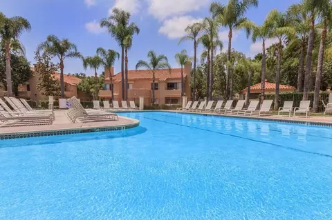 12367 Calle Albara, Rancho San Diego, CA 92019