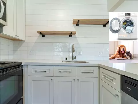 2144 Royal Dr, Santa Clara, CA 95050
