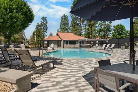 3900 Fir Tree Dr, Riverside, CA 92505 photo 19