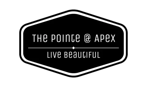 100 Peace Haven Pl, Apex, NC 27502