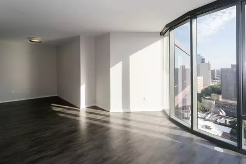 5252 S Cornell Ave, Chicago, IL 60615 photo 52