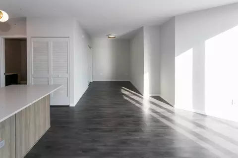 5252 S Cornell Ave, Chicago, IL 60615 photo 58