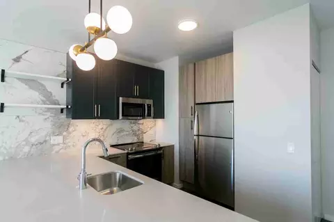 5252 S Cornell Ave, Chicago, IL 60615 photo 54