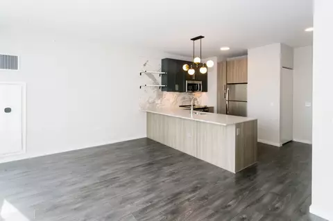 5252 S Cornell Ave, Chicago, IL 60615 photo 56