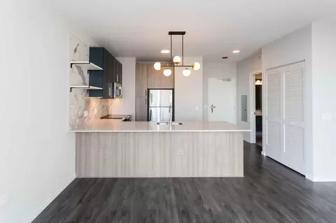 5252 S Cornell Ave, Chicago, IL 60615 photo 53