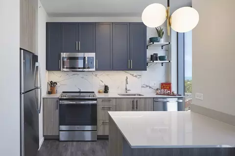 5252 S Cornell Ave, Chicago, IL 60615 photo 43