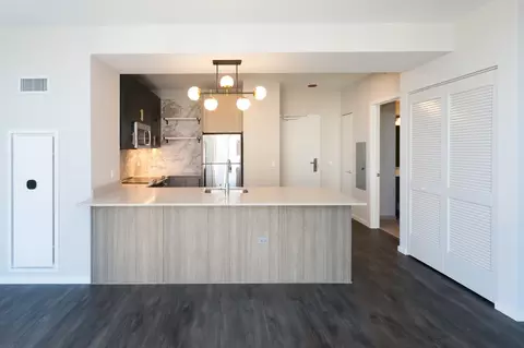 5252 S Cornell Ave, Chicago, IL 60615 photo 66