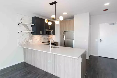 5252 S Cornell Ave, Chicago, IL 60615 photo 55