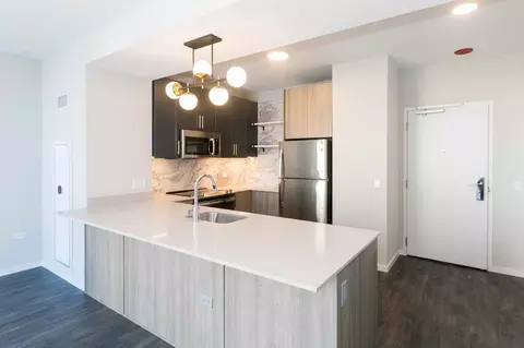 5252 S Cornell Ave, Chicago, IL 60615 photo 65