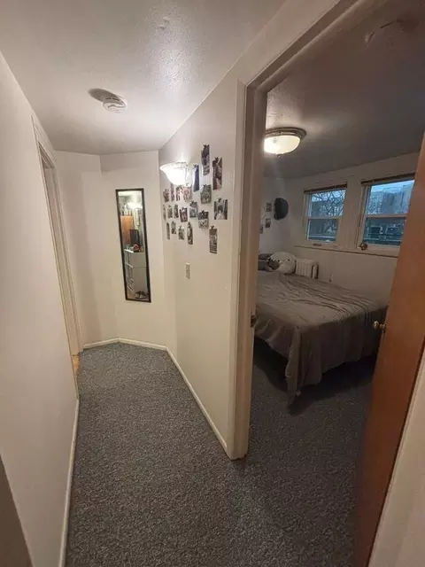 234 Langdon St, Madison, WI 53703 photo 44
