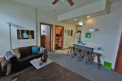 234 Langdon St, Madison, WI 53703 photo 16