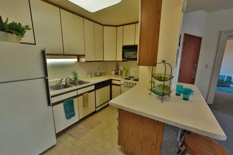 234 Langdon St, Madison, WI 53703 photo 19