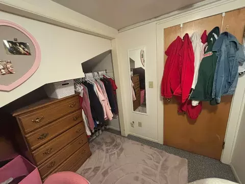 234 Langdon St, Madison, WI 53703 photo 38