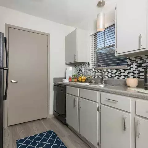 1516 Arbor Town Cir, Arlington, TX 76011 photo 20