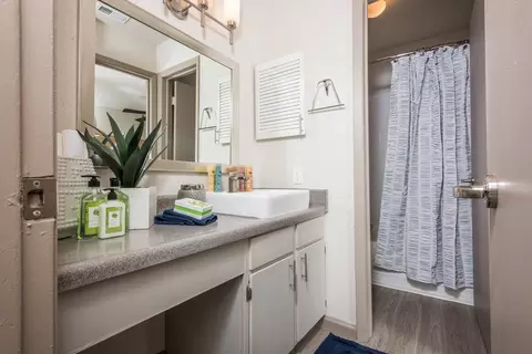1516 Arbor Town Cir, Arlington, TX 76011 photo 64