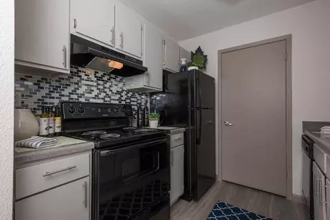 1516 Arbor Town Cir, Arlington, TX 76011 photo 63