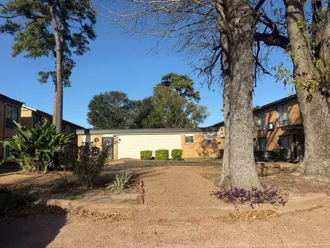 3629 N Macgregor Way, Houston, TX 77004
