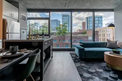 717 S Clark St, Chicago, IL 60605 photo 47