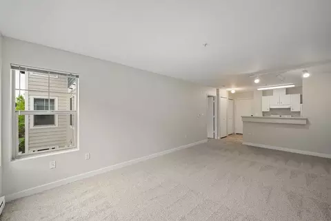 304 118th Ave SE, Bellevue, WA 98005 photo 16