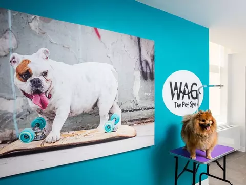 100 Willoughby St, Brooklyn, NY 11201 photo 39