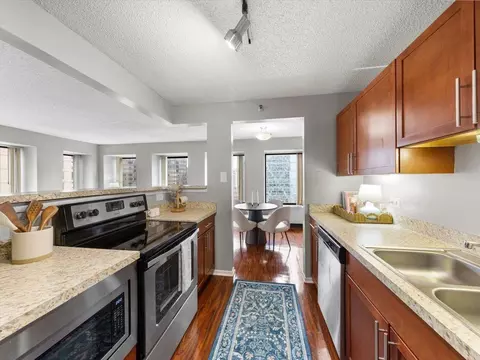 441 Erie St, Chicago, IL 60611 photo 26