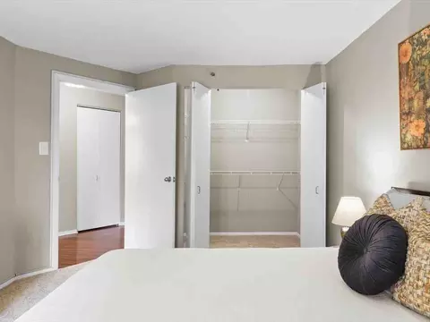 441 Erie St, Chicago, IL 60611 photo 30