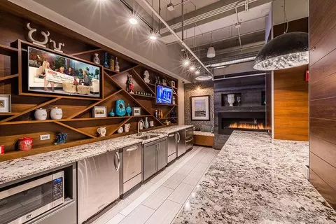 441 Erie St, Chicago, IL 60611 photo 52