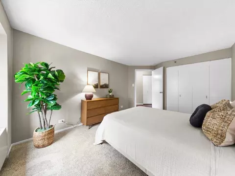 441 Erie St, Chicago, IL 60611 photo 29