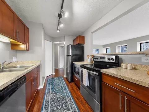 441 Erie St, Chicago, IL 60611 photo 27